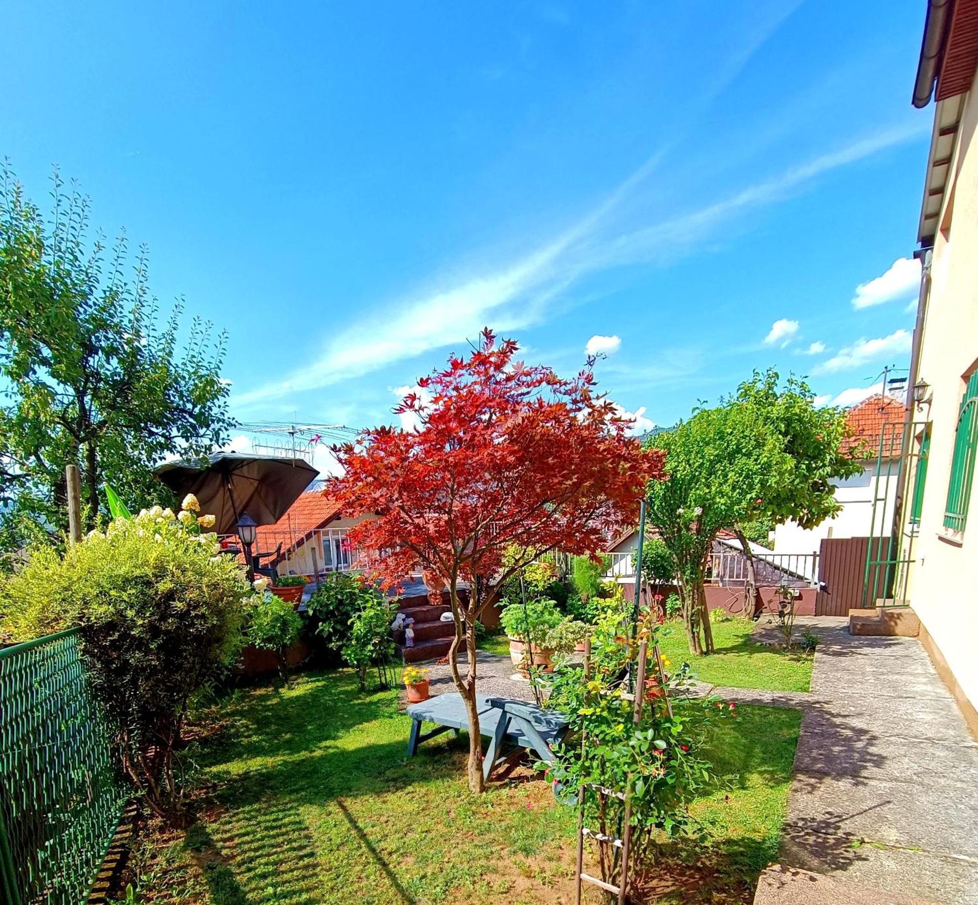 Garden Free Parking Apartment Sarajevo Room photo